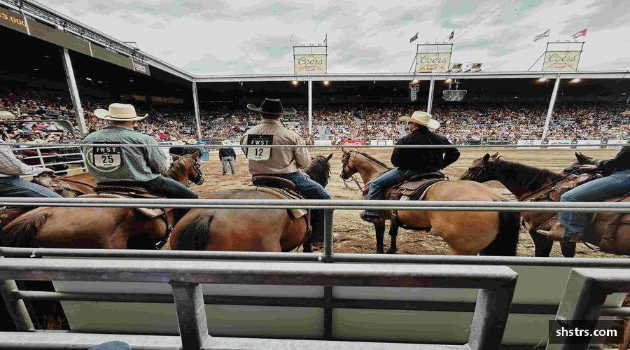 6T体育(毽舞动力)官方网站-6T Sports赛事激情，点燃你的运动 DNA！⚽️